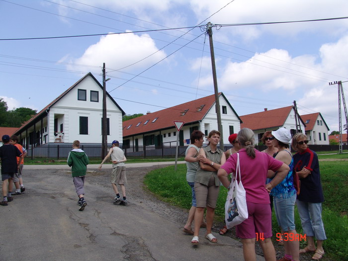 2006. Erdei iskola