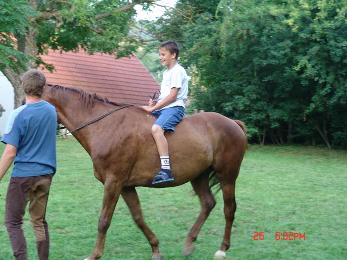 2005. Tematikus tborok