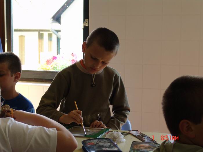 2005. Erdei iskolák