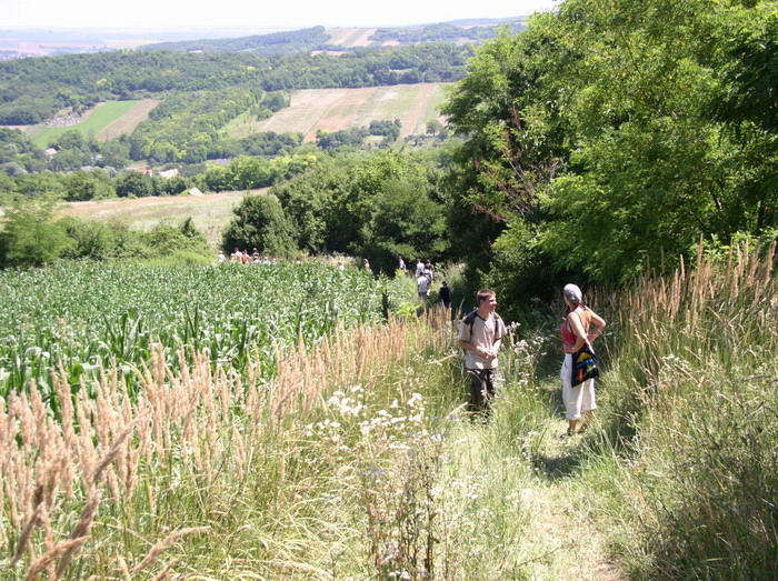 2006. Tematikus tborok